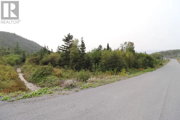 14 Hollands Memorial Drive, Norris Point, Newfoundland & Labrador A0K3V0