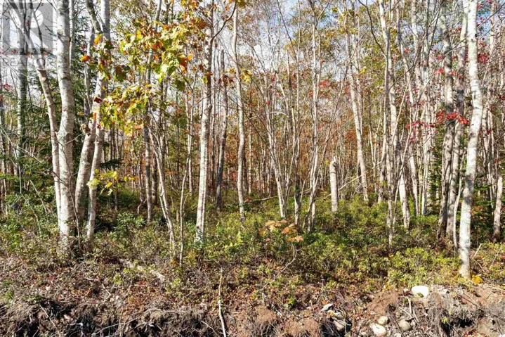 61 Morton Drive, Liverpool, Nova Scotia B0T1K0