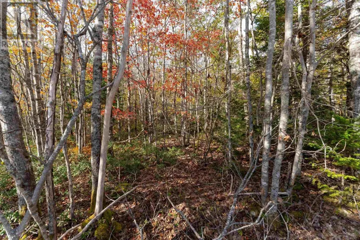64 Morton Drive, Liverpool, Nova Scotia B0T1K0