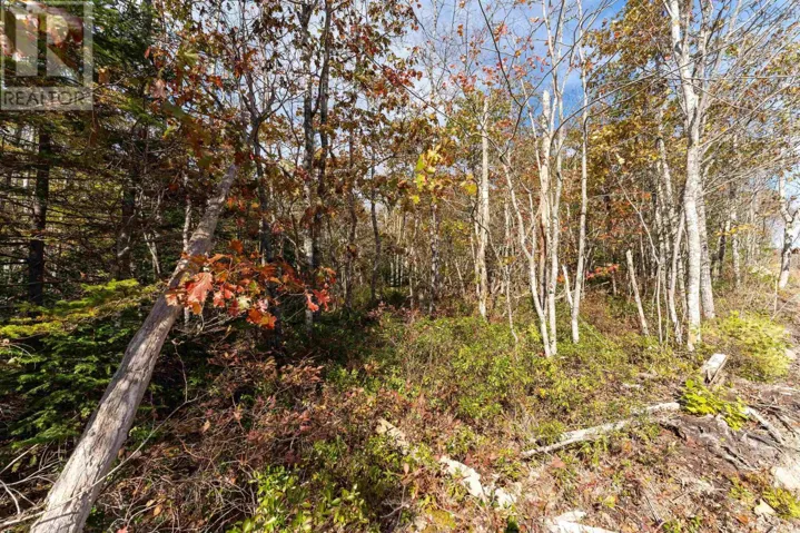 65 Morton Drive, Liverpool, Nova Scotia B0T1K0