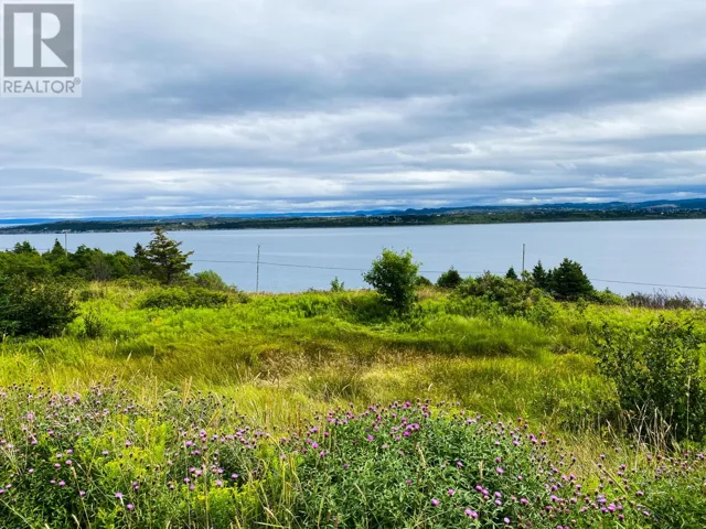 58 Anthonys Road, Spaniards Bay, Newfoundland & Labrador A0A3X0