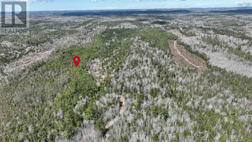 Lot Silver Road, Nineveh, Nova Scotia B0R1E0