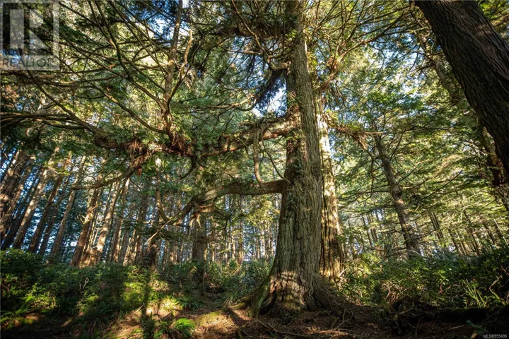 0 Francis Island, Ucluelet, British Columbia V0R3A0