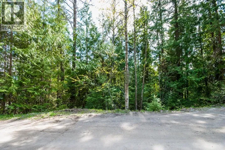 Lot 57 Lonneke Trail, Anglemont, British Columbia V0E1M8