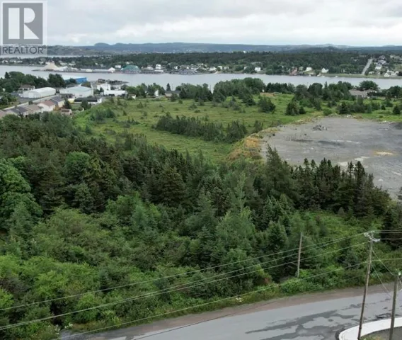 40-42 Eric Dawe Drive, Bay Roberts, Newfoundland & Labrador A0A1G0
