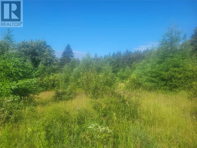 4 Williams Lane, Kippens, Newfoundland & Labrador A2N3V1