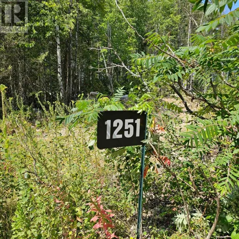 1251 SNAKE CREEK Road, Mattawa, Ontario P0H1V0