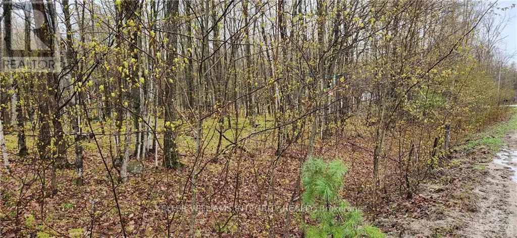 Lot 10 & 11 HOLLIE DRIVE, Lanark Highlands, Ontario K0G1M0