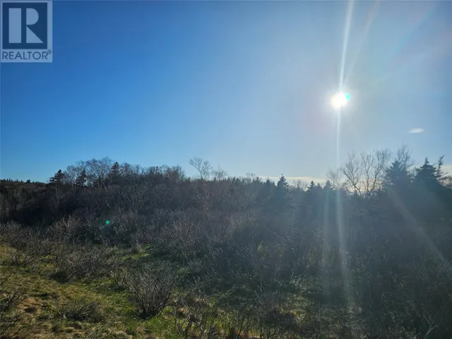 1 TCH Highway, McDougall's, Newfoundland & Labrador A0N1K0