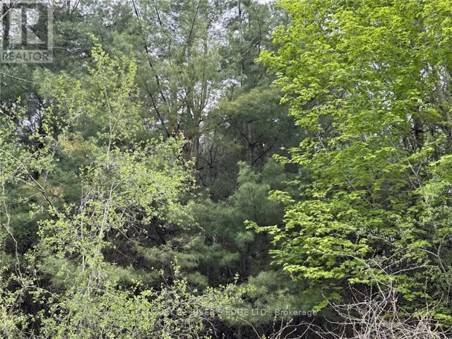 12082 LAND O'NOD ROAD, North Augusta, Ontario K0G1R0