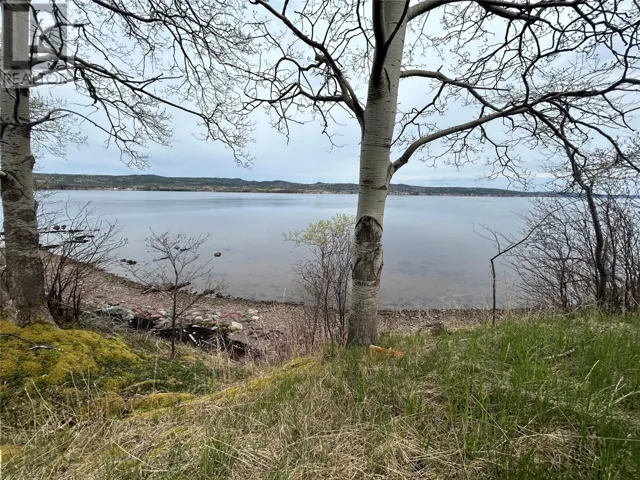 38-40 Sacrey's Road, Botwood, Newfoundland & Labrador A0H1E0