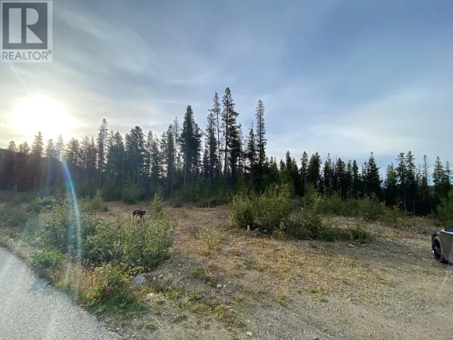 19 Buck Road, Oliver, British Columbia V0H1T0