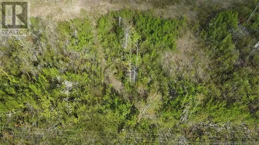 Lot 9 Tobin Road, Elmwood, New Brunswick E7N2E1