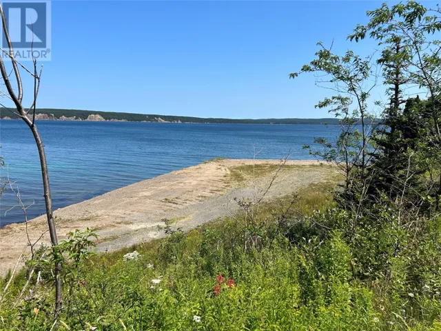0 MARINE Drive, CLARENVILLE, Newfoundland & Labrador A5A1L5