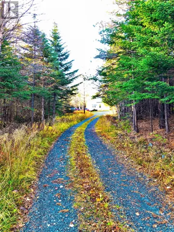 615-621 Old Broad Cove Rd, Portugal Cove-St. Phillips, Newfoundland & Labrador A1M1Z9