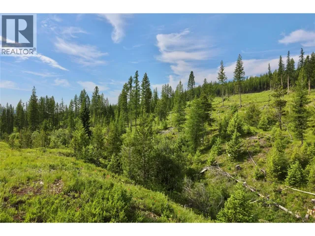 2375 BELCHROME FSR Road, Bridesville, British Columbia V0H1Y0