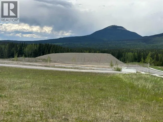 304 ELIZABETH Avenue, Rural Clearwater County, Alberta T0M2H0