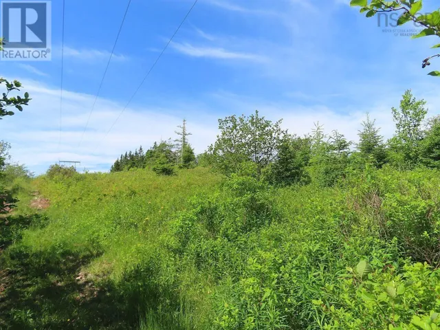 Lot 2 Old Trunk 4 Highway, Soldiers Cove, Nova Scotia B0E3B0