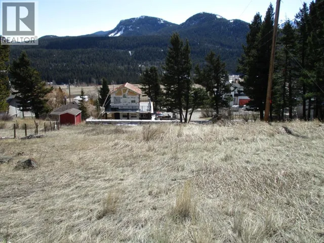 6502 24 Avenue, Coleman, Alberta T0K0M0
