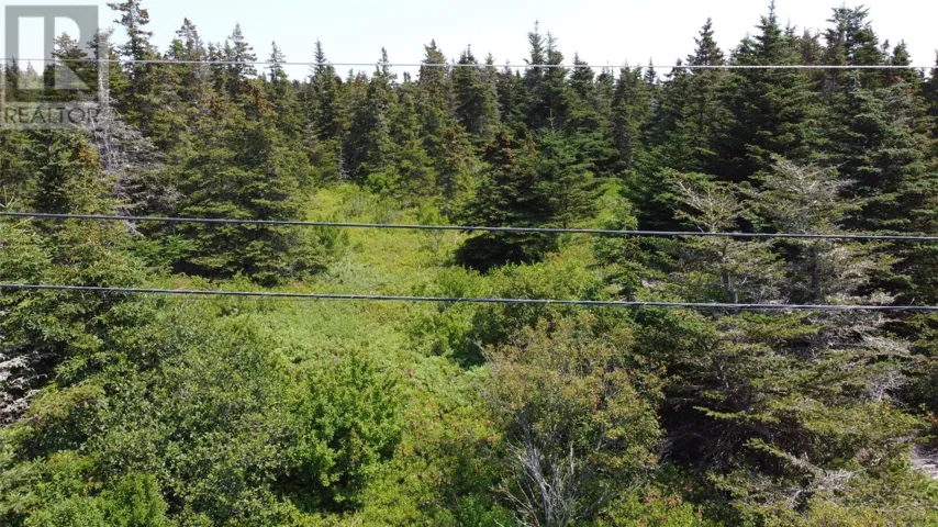 0 McNamara Crescent, Harbour Grace, Newfoundland & Labrador A0A2M0