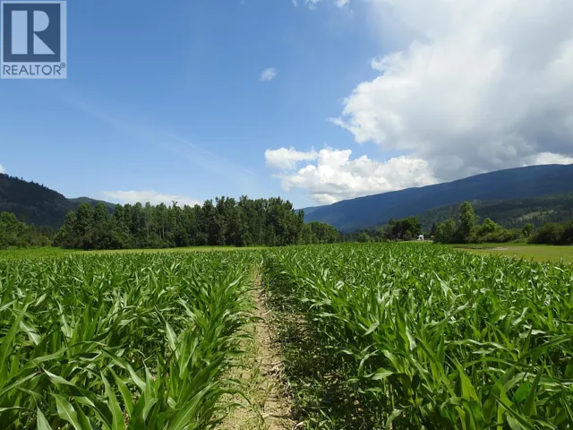 7160 97-A Highway, Grindrod, British Columbia V0E2K0