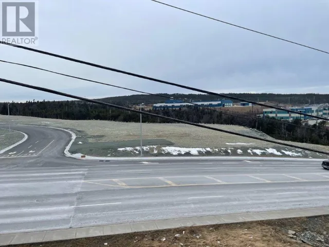 10 Edmonds Place, St. John's, Newfoundland & Labrador A1B0C7