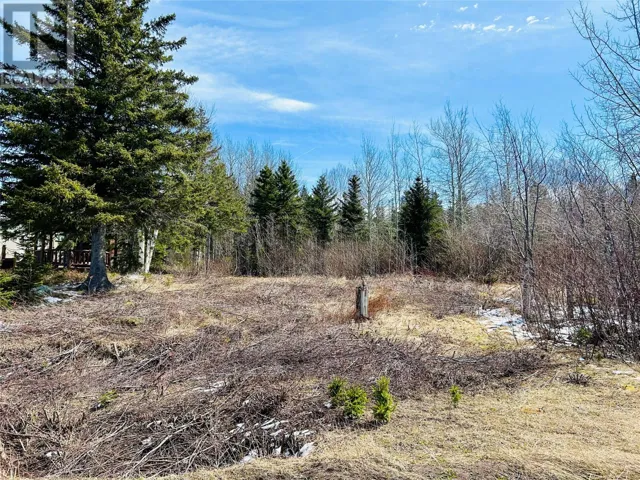 56 Pleasantview Road, Point Leamington, Newfoundland & Labrador None