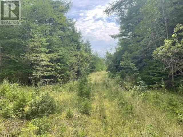 Highway 105, Baddeck, Nova Scotia B0E1B0