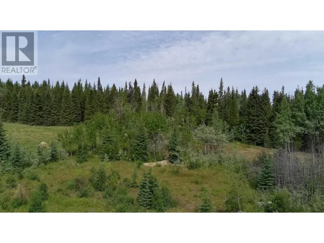 660 SPARKS ROAD, Burns Lake, British Columbia V0J1R0