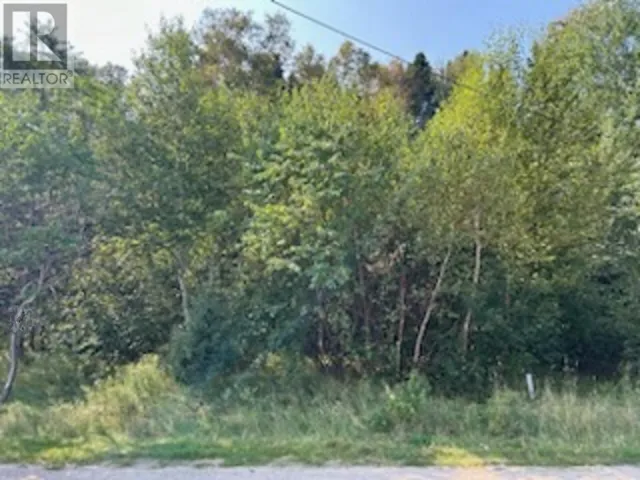 142 Main Street, Traytown, Newfoundland & Labrador A0G4K0