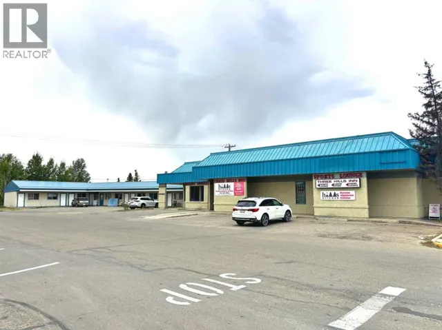 309 Main Street, Three Hills, Alberta T0M2A0
