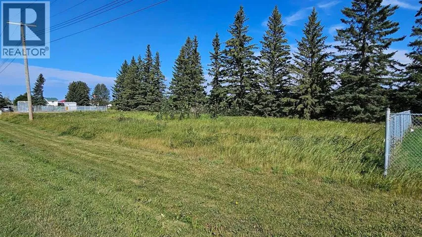 716 Main Avenue W, Sundre, Alberta T0M1X0