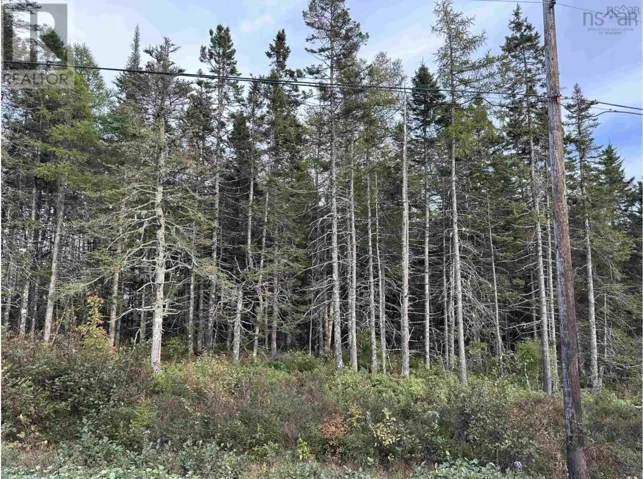 Point View Road, Louisdale, Nova Scotia B0E1V0