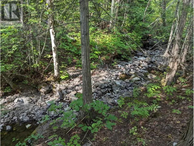 8569 BLACK MOUNTAIN RD, Chase, British Columbia V0E1M0