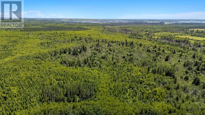 ACREAGE CABLE HEAD WEST, Route 336