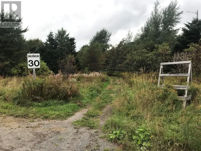 1 Wallace's Road, Milton-Georges Brook, Newfoundland & Labrador None