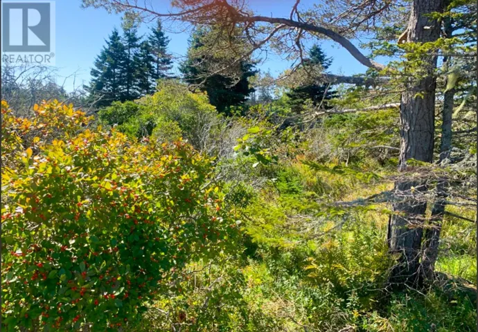 Lot Overton Road, South Chegoggin, Nova Scotia B5A5G8