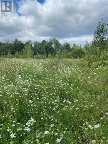 00 JEAN AVENUE, Pembroke, Ontario K8A5H9