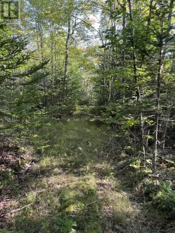 LOT Highway 10, Dalhousie, Nova Scotia B0R1H0