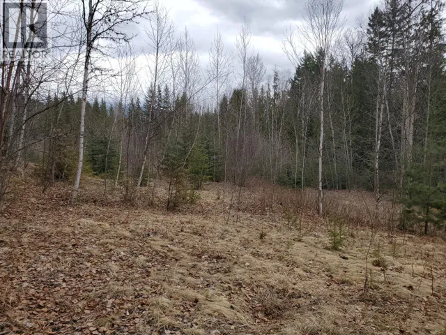 657 HOIRUP ROAD, Clearwater, British Columbia V0E1N1