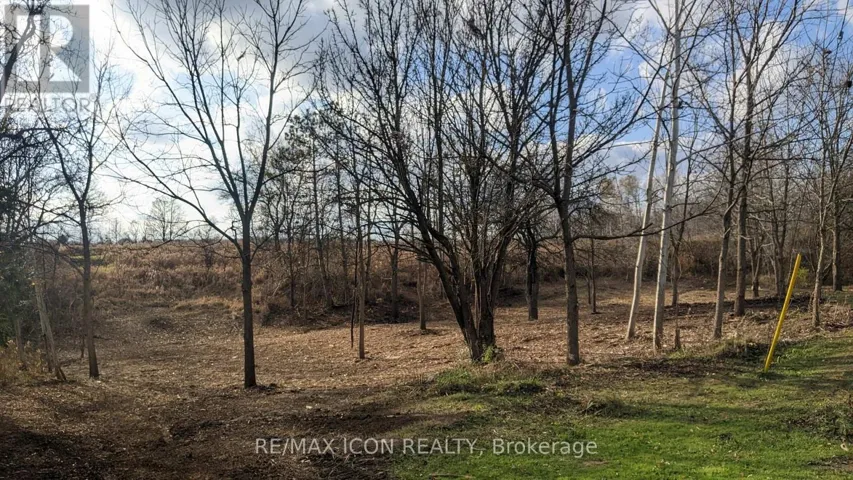 237 FREDERICK STREET, Southwest Middlesex, Ontario N0L1Z0