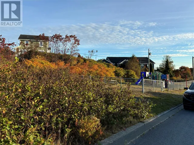 61 Badcock Boulevard, Bay Roberts, Newfoundland & Labrador A0A1G0