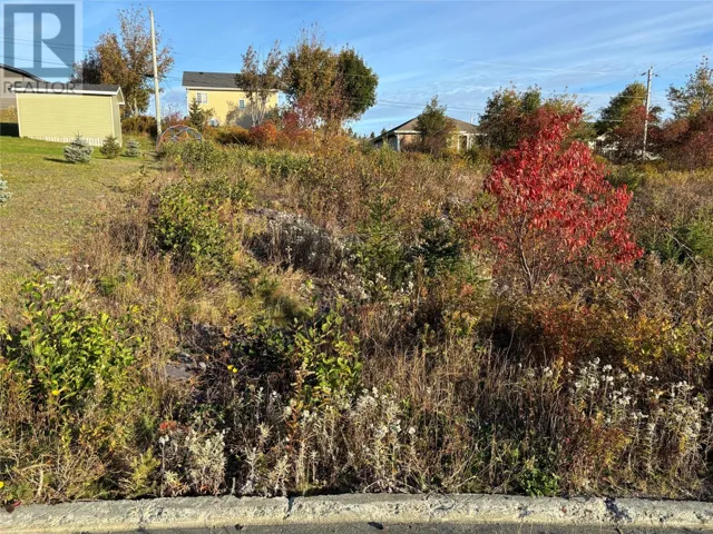 59 Badcock Boulevard, Bay Roberts, Newfoundland & Labrador A0A1G0