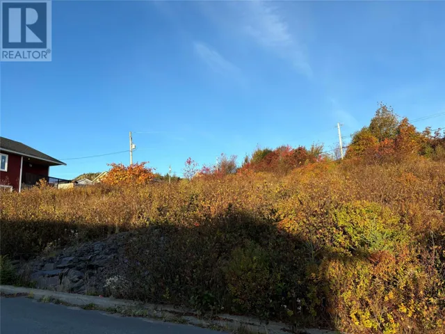 57 Badcock Boulevard, Bay Roberts, Newfoundland & Labrador None
