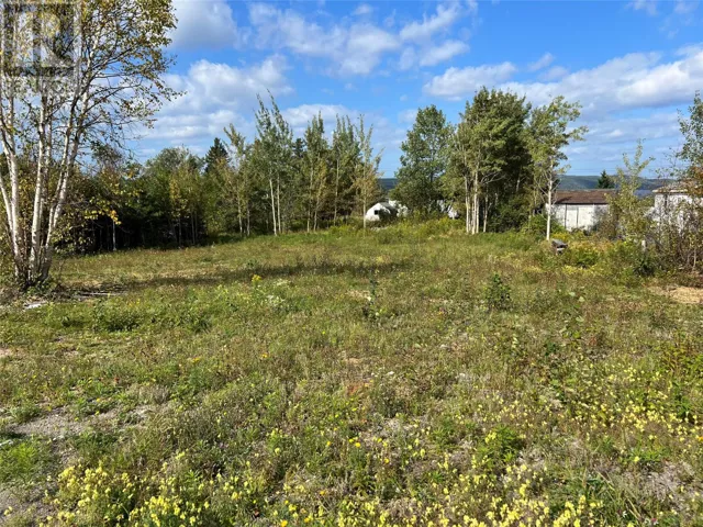 1 Hopkins Road, South Brook, Newfoundland & Labrador A0J1S0
