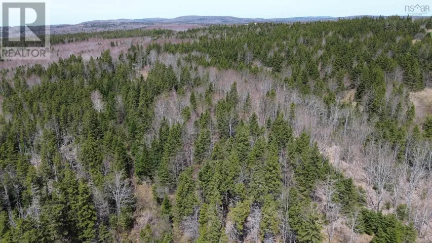 LOT David Street, Port Hastings, Nova Scotia B0E1P0