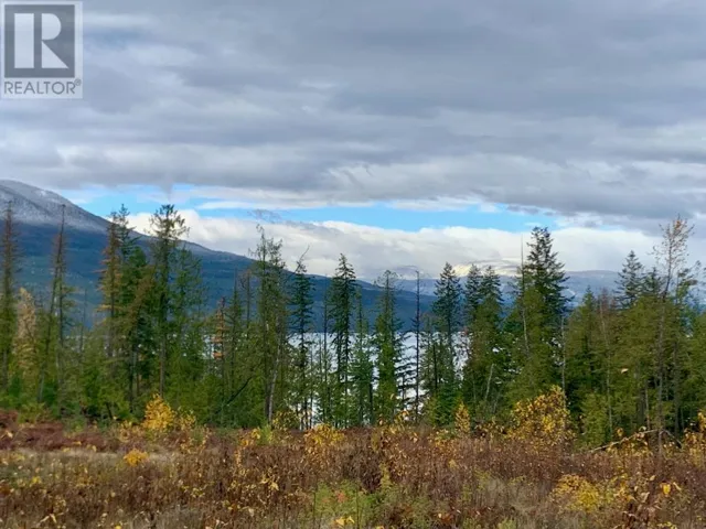 Lot A 23 Highway, Nakusp, British Columbia V0G1R0