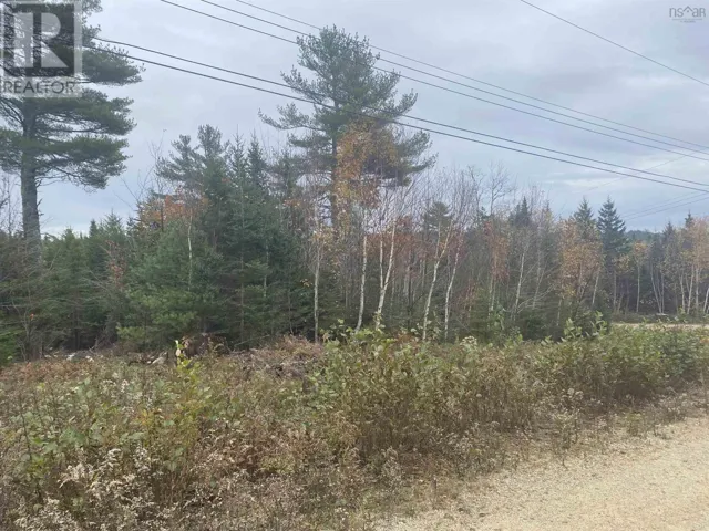 Lot 20 Noonan Lake Lane, Simms Settlement, Nova Scotia B0J1T0