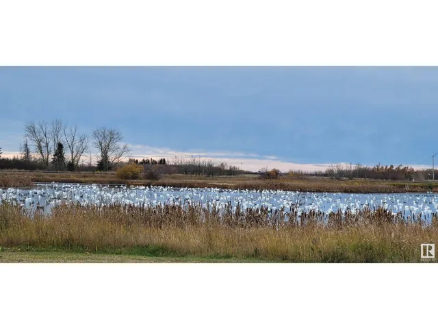 5028 50 AV, Holden, Alberta T0B2C0