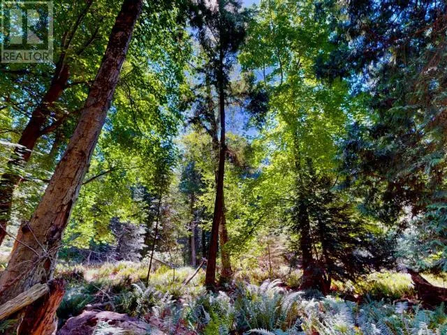 1394 VANCOUVER BLVD, Savary Island, British Columbia None
